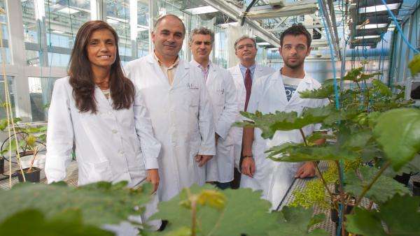 Os científicos desenvolven un novo método para crear fertilizantes