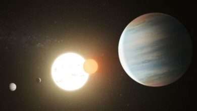 Tres planetas descubiertos recientemente podrían albergar vida