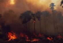 La Selva Amazónica de Brasil arde en llamas a gran velocidad