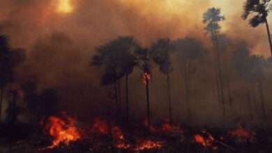 A selva amazónica brasileira arde a gran velocidade