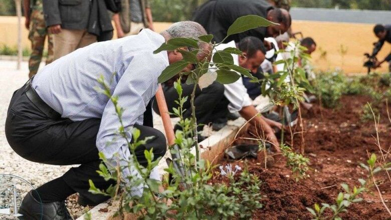Etiopía planta 350 millones de árboles en solo un día para combatir el cambio climático
