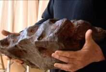 Científicos descubren extraño mineral dentro de meteorito
