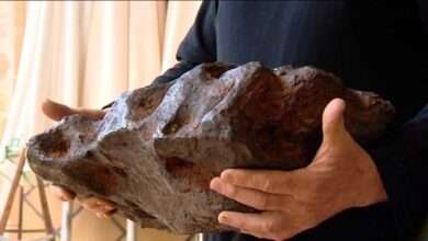 Os científicos descubren estraños minerais dentro do meteorito