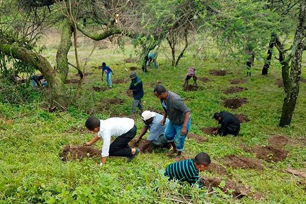 Etiopía plantando árboles para combatir el cambio climático
