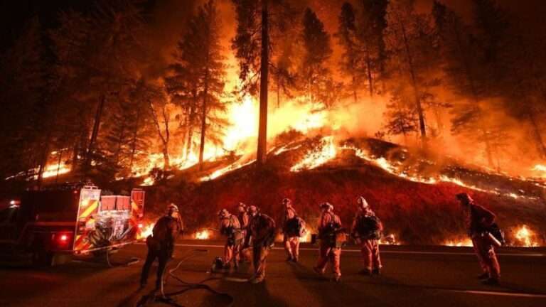 incendios forestales bomberos apagando el fuego