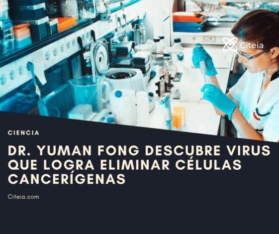 virus que logra eliminar células cancerígenas