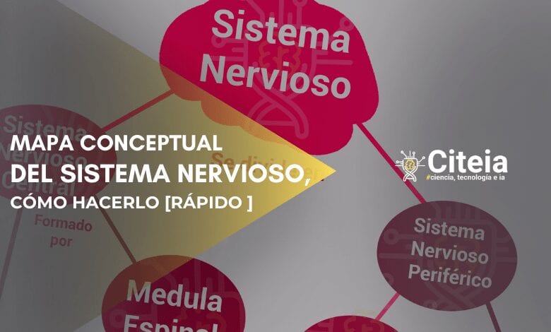 mapa conceptual da portada do artigo do sistema nervioso