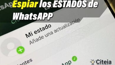Cómo espiar estados de whatsapp sin dejar rastro portada de artículo