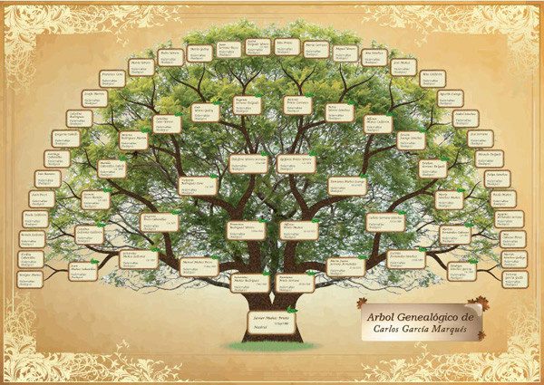 árbol genealógico