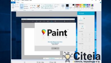 Como podo descargar e instalar Classic Paint en Windows 10?