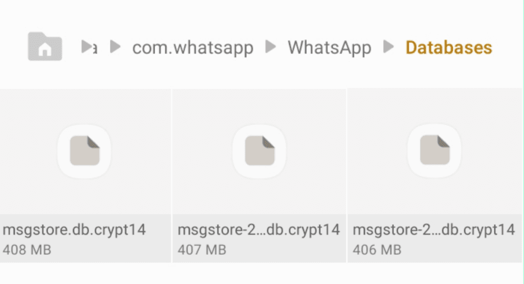 download whatsapp tergum