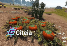 como plantar en Rust