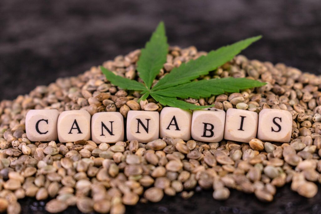 Descubre los diferentes tipos de semillas de Cannabis portada