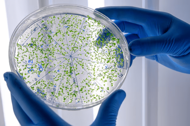 Sintomas, tratamiento y control de Legionella en Barcelona