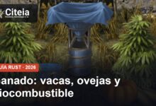 Ganado en Rust: ganado: vacas, ovejas y biocombustible